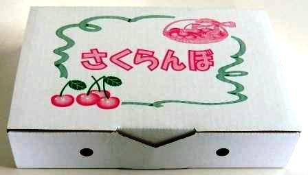 さくらんぼ 250g×2入り 267×183×58