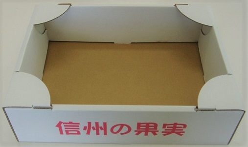 オープンケース ３Ｋ
信州の果実