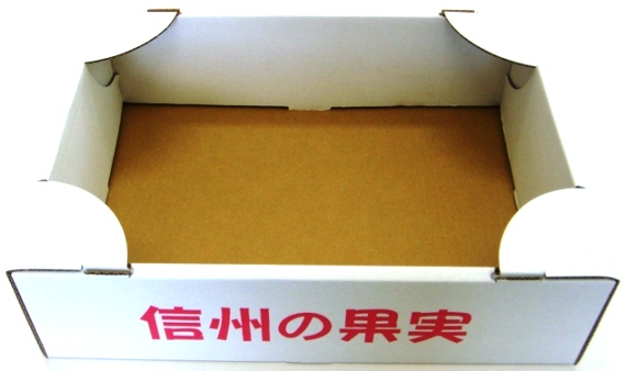 オープンケース 3K
信州の果実